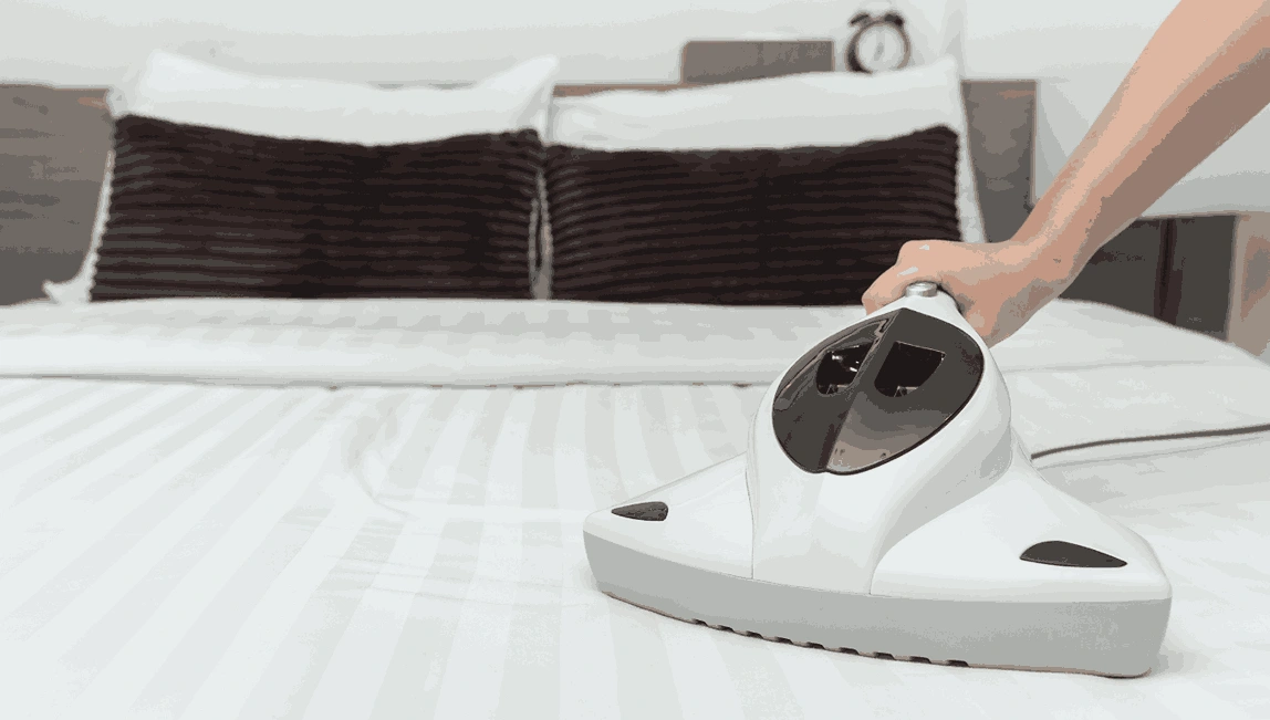 Professional Mattress Cleaning Bell Park